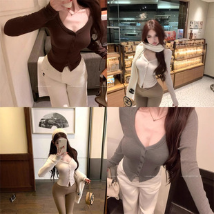 Pure Desire Grey V-Neck Long-Sleeved T-Shirt Women's Autumn Slim-Fit Tight Inner Slim Base Shirt Design Chic Top