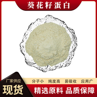Sunflower seed protein 60 80% healthy peptide biological sunflower seed extract water soluble food grade extract protein powder