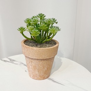Ming Ge flocking red brick simulation multi-meat potted net red hot indoor desktop ornaments courtyard decoration potted wholesale
