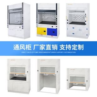 Flaishi table-type fume hood laboratory walk-in exhaust system exhaust cabinet corrosion-resistant all-steel fume hood