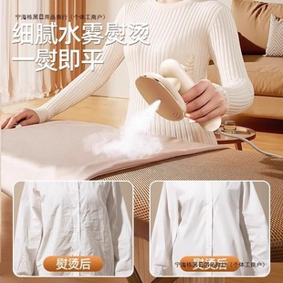Clothes Small Electric Iron Steam Portable Handheld New Dormitory Garment Ironing Machine Household Low Power Free Shipping