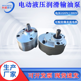 No leakage HYXCB-B63 16 40 80 100 32 HYXC-B125F gear oil pump CB-B4TH