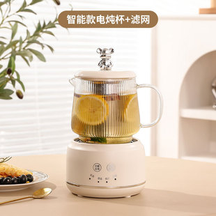 Multifunctional health Cup heating health pot office small electric Cup household mini flower tea cup kettle