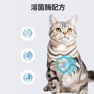 Japan KOJIMA pet toothbrush toothpaste set dog cat oral cavity cleaning prevention of calculus to improve bad breath
