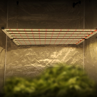 Octopus plant growth lamp 640W high power full spectrum plant lamp 1000W plant fill light LED