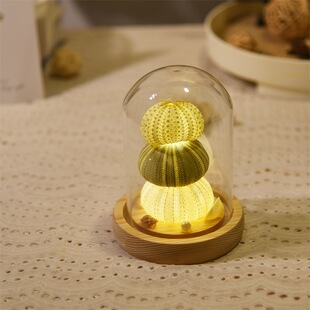 Shell Sea Urchin Nightlight diy Handmade Creative Ornaments Tanabata Gift Glass Cover Material Bag Gift