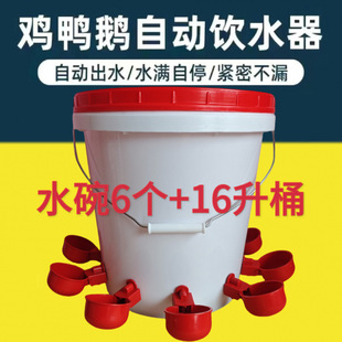 Automatic Poultry Feeder for Chickens, Ducks, Geese, and Pigeons
