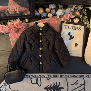 Girls autumn and winter coat 2024 new female baby western style net red cotton padded cotton fleece-lined warm outside...
