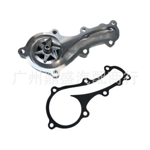 21010-4M525 21010-5M000 21010-F4600 21010-9F605 for Nissan Water Pump
