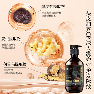 Nanjing Tongrentang Black Ganoderma He Shouwu Имбирь эссенция шампунь увлажняет и контролирует масло, пушистый, противозудный и удаляющий средства