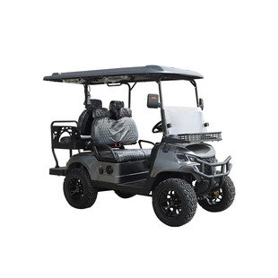 Customized Golf Carts, Factory Area, School Hotel, Shuttle Bus, Animal and Plant Garden, Homestay Golf Carts