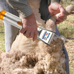 Pet Electric Clipper Wool Electric Clipper Teddy Dog ​​Shaving Large Dog Sheep Velvet Goat Shaving Artifact