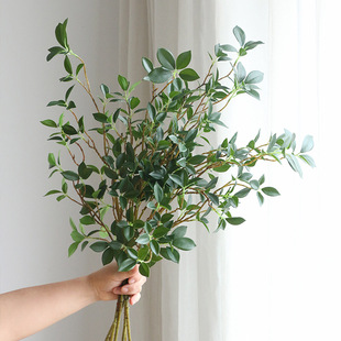 Simulation Plant Green Plant Potted Fake Leaves Flower Material Home Decoration Banyan Leaf Shooting Props Long Branches and Thin Leaves Banyan