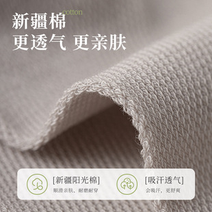 Summer Socks Men's Thin Boat Socks Sweat-Absorbent Pure Cotton Business Mesh Breathable Men's Stockings Non-Falling Socks Invisible Socks