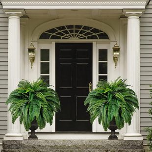 Спот трансграничный взрыв UV Resistant Lifelike Artificial Boston Fern Green