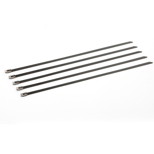 Stainless Steel Strip (Black) 304 Spray Stainless Steel Tie Self-locking 4.8MM/8MM Marine Tie Metal