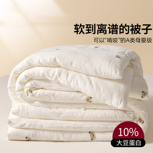 Class A double-layer yarn soybean fiber quilt thick winter quilt single spring and autumn bedding children's quilt quilt core summer quilt
