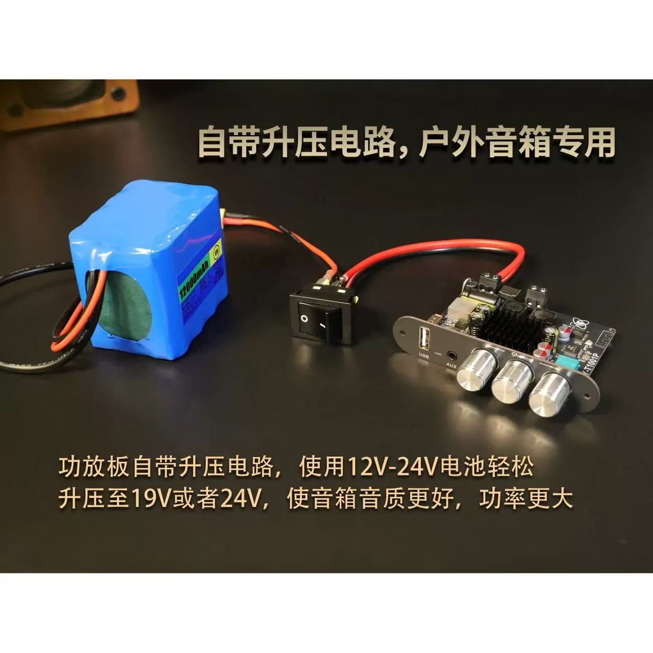 T1001P Mono 100W Bluetooth Audio Amplifier with High and Low Tone Adjustment, TWS Pairing, True Wireless TPA3116