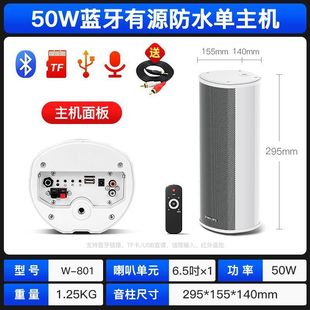 2025 New Smart Wireless Bluetooth Speaker Outdoor Waterproof Active Column Outdoor Shop Wall-Mounted Speaker