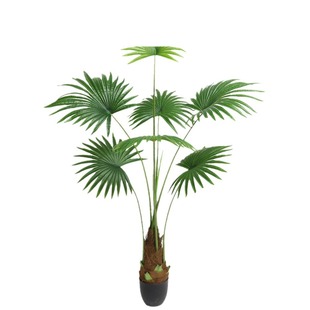 Simulation Gardening Tang Brown Kwai Green Plant Large Floor-to-ceiling Window Interior Living Room Decoration Garden Plant Potted Plant Decoration