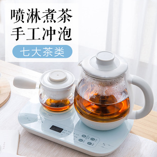 Bear tea maker teapot 0.8L steam spray steaming teapot health pot electric kettle ZCQ-A08E1
