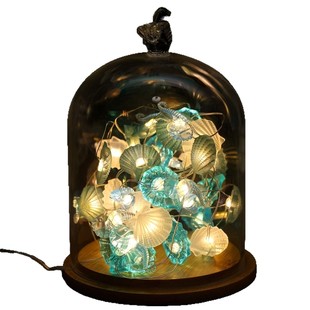 New color ocean series modeling lamp decorative string lamp conch shell starfish atmosphere sense layout copper wire lamp