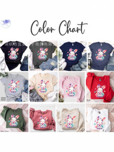 Amazon cross-border independent station Europe and the United States foreign trade summer cute rabbit cartoon printed short sleeve T-shirt a custom
