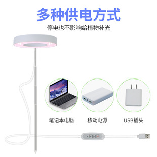 Angel Ring Full Spectrum Plant Light Growth Lamp 5v Low Voltage Timing Dimming Household Indoor Fleshy Flower Light