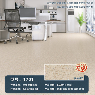 Phantom dragon series/2.0mm/stone pattern/pvc plastic floor/commercial hospital kindergarten plastic leather floor glue