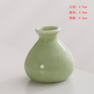 Creative Mini Hydroponic Small Vase Ornaments Decoration small size Pocket Fingertip Small Flower Dry Ice Bottle Props