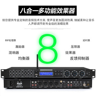 Imported high-end front-level effect professional karaoke KTV home mixing karaoke balanced front tuning accompaniment