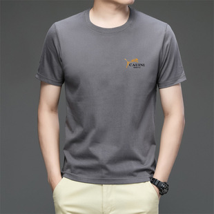 2024 Summer Men's Combed Cotton T-shirt Short-sleeved Youth Fashion Brand Men's Round Neck Heavy Cotton T-shirt