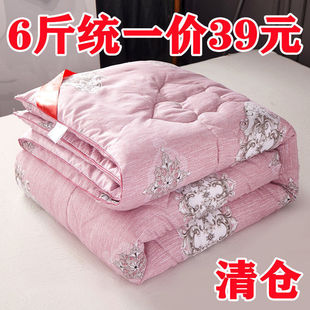 Quilt Quilt Core Spring and Autumn Quilt Double Air-conditioning Quilt Winter Thickened Warm Winter Quilt Single Student Dormitory Silk Cotton Weidong