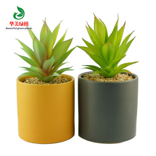 Foreign Trade Cross-border Environmental Protection Simulation Fleshy Plants Artificial Fake Flowers Plastic Green Plants Home Decoration Desktop Ornaments
