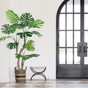 Amazon Simulation Green Plant Turtle Bamboo Floor Photography Potted Living Room Indoor Bonsai Decoration Ornaments Turtle Plant