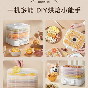 Rainbow charm dryer food pet snacks fruits and vegetables meat air dryer food small household freeze dryer