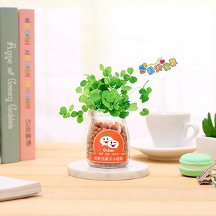 Creative office potted long grass head doll cool expression DIY glass bottle negative ion mini planting gift