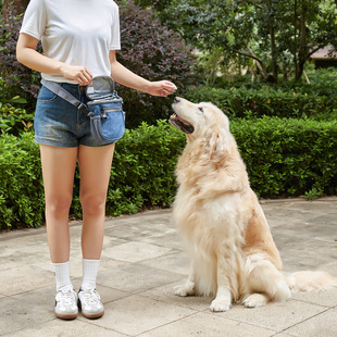 Amazon Pet Training Bag Исходящая Портативная сумка для собачьего корма Многофункциональная сумка для дрессировки домашних животных Закуски Талия Зоотовары