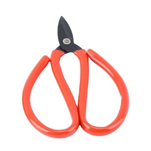 Wide head nail clippers civil scissors paper cutting civil household scissors small head fish head scissors
