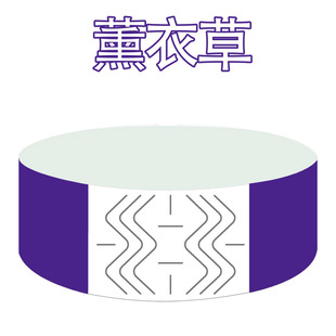 Dupont Paper Bracelet Disposable Children's Paradise Hospital Paper Ticket Amusement Park Wristband Manufacturer Independent Station Cross-Border