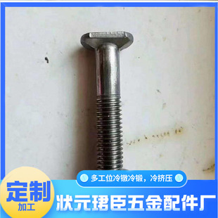 Multi-station cold heading non-standard screw and nut processing household hardware accessories cold forging cold extrusion manufacturers