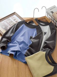 Boys' Casual Long-sleeved Spring and Autumn Children's Wear Large Children's Base Shirt Long-sleeved T-shirt All-match Two-piece Spring and Autumn 8
