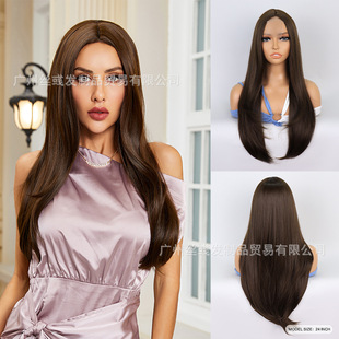 Europe and the United States hot-selling wig supply black brown long straight hair straight hair front lace chemical fiber women wigs