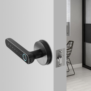 Huili Cross-Border Smart Handle Lock Home Indoor Password Fingerprint Bluetooth Wifi Tuya Digital Door Smart Lock