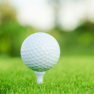 Golf two-layer sarin ball indoor and outdoor putter cutting Rod practice golf double-layer gift ball golf