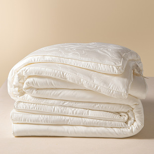 Soybean Fiber Quilt Class A Maternal and Infant Grade Pure Cotton Spring and Autumn Quilt Core Mother Quilt Two-in-One Quilt Winter Quilt Thick Cotton Quilt