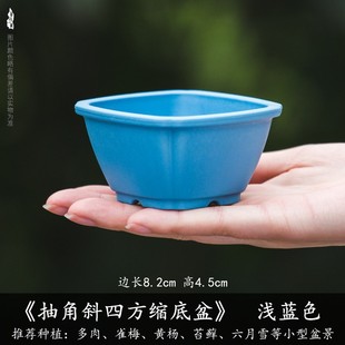 Creative succulent flower pot meat plant Acorus calamus small bonsai decoration indoor simple durable resin pot wholesale