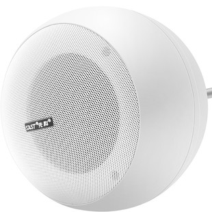 SAST S5-1 hanging ball audio hanging hanger ceiling ceiling speaker background music ceiling