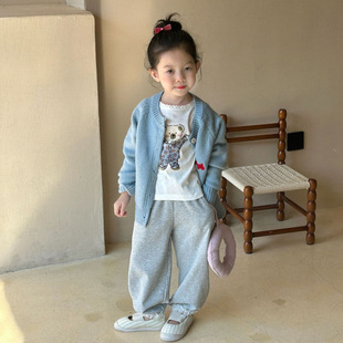 Autumn 2024 new children's clothing Korean children's clothing girls cute animal embroidery sweater cardigan sweater coat