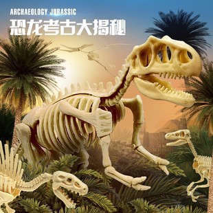 Dinosaur fossil Tyrannosaurus skeleton assembly model children's handmade DIY archaeological excavation plaster toy